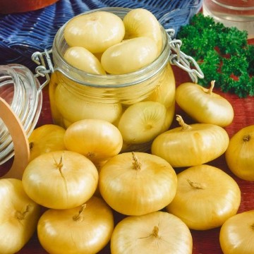 Borettana Cipolloni Onion Seeds