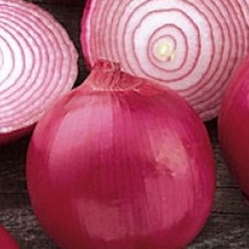 Red Grano Onion Seeds