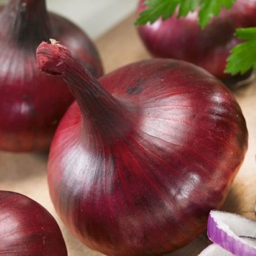 Southport Red Globe Onions ON46-250