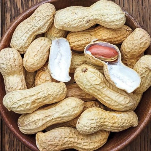 Wynne Peanuts PN5-20