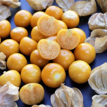 Pineapple Tomatillo Seeds
