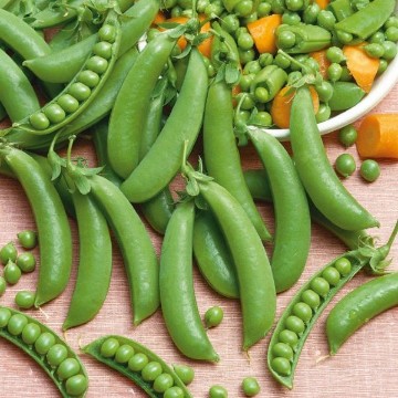 Sugar Snap Pea Seeds