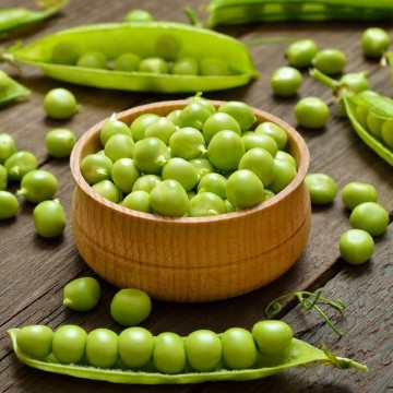 Thomas Laxton Sweet Pea Seeds