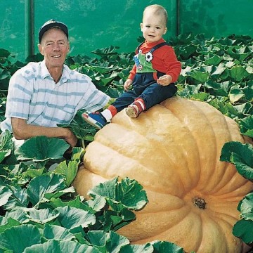 Dill's Atlantic Giant Pumpkin Seeds