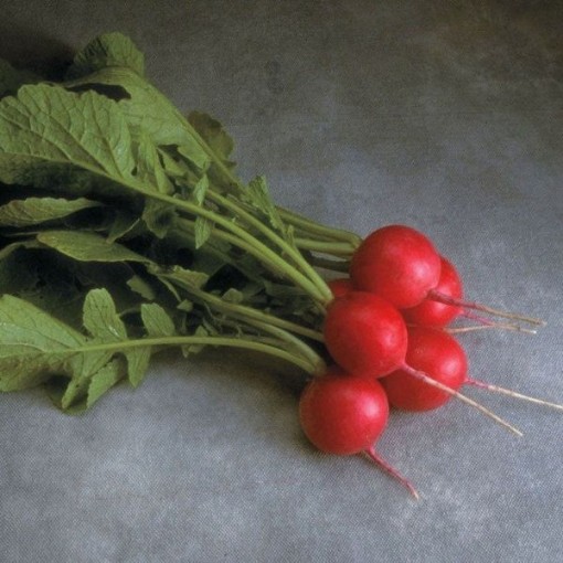 Cherriette Radishes RD14-100
