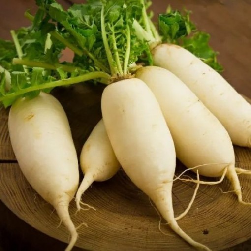 Munich Beer Radishes RD6-50