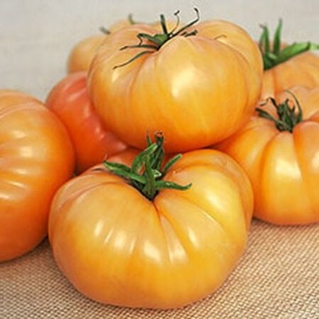 Kellogg's Breakfast Tomato Seeds