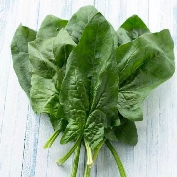 Viroflay Spinach Seeds