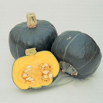 Burgess Buttercup Squash Seeds
