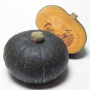 Sweet Mama Squash Seeds