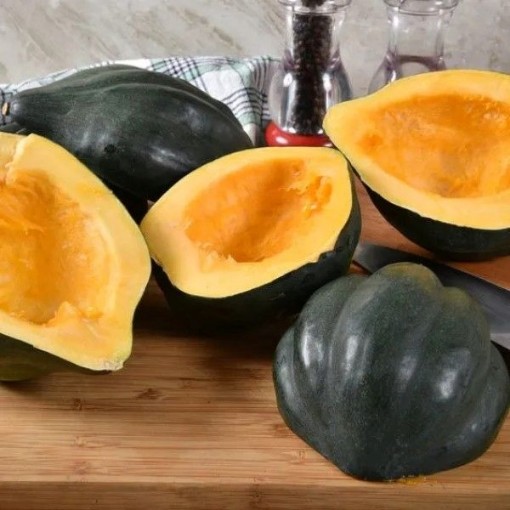 Ebony Acorn Squash SQ88-25