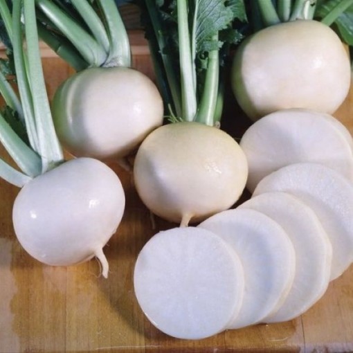 Seven Top Turnips TP2-500