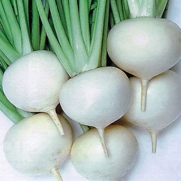 Tokyo Cross Turnip Seeds
