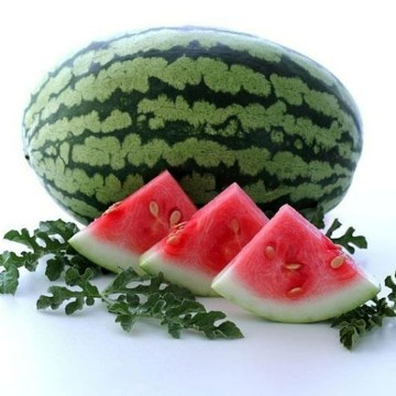 Carolina Cross Watermelon Seeds