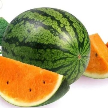 Tendersweet Watermelon Seeds