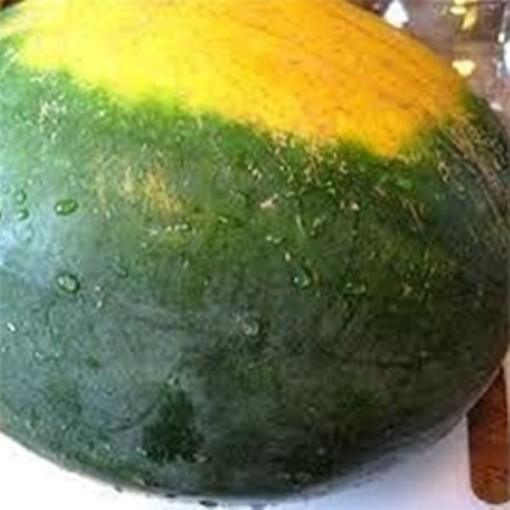 Yellow Belly Black Diamond Watermelons WM37-20