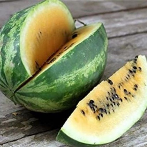 Tendergold Watermelons WM44-20