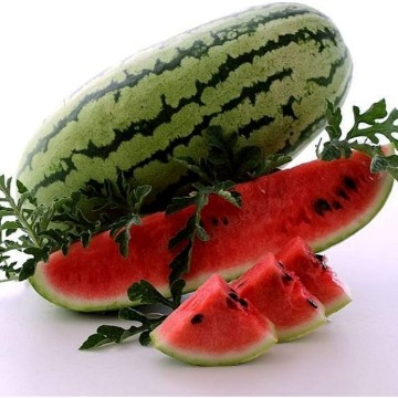 Georgia Rattlesnake Watermelon Seeds