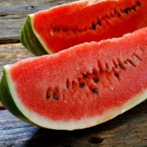 Garrisonian Watermelons WM56-20