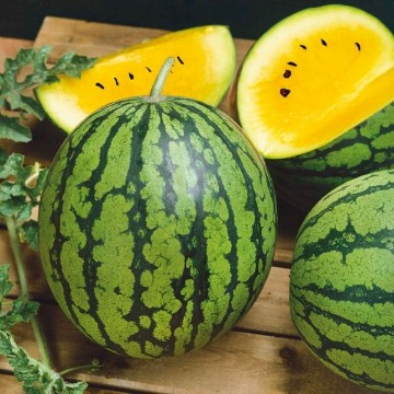 Yellow Petite Watermelon Seeds