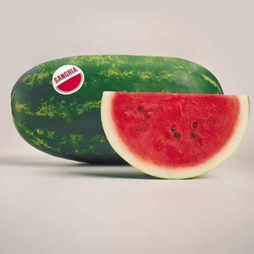 Sangria Watermelons WM82-10
