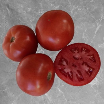 Celebrity Supreme Tomato Seeds