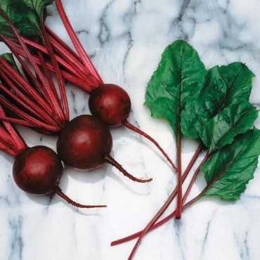 Picture for category RZ – Rhizoctonia Root & Crown Rot Resistant Beets
