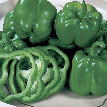 California Wonder Pepper Seeds