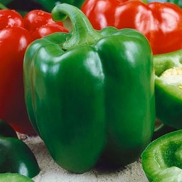 Chinese Giant Pepper Seeds