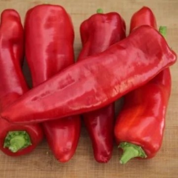 Giant Aconcagua Pepper Seeds