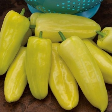 Gypsy Pepper Seeds