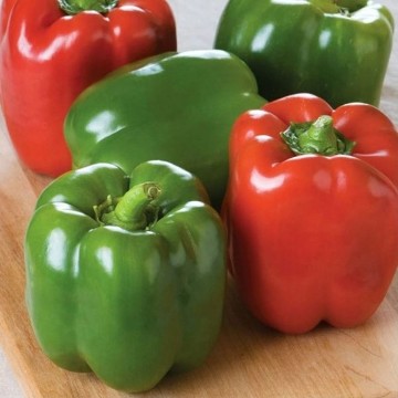 Keystone Resistant Giant Pepper Seeds
