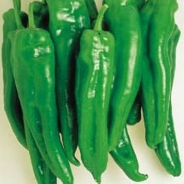 Spanish Spice Pepper Seeds