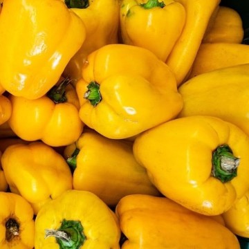 Pimento Yellow Cheese Pepper Seeds