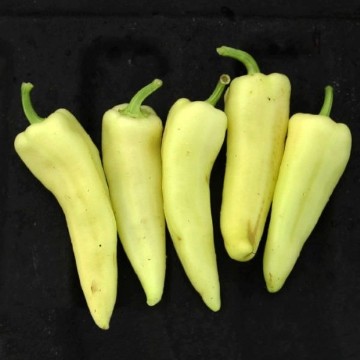 Super Hot Hungarian Pepper Seeds