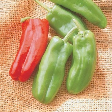 Giant Marconi Pepper Seeds