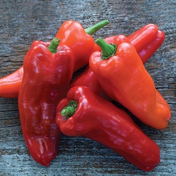 Costa Rican Pepper Seeds