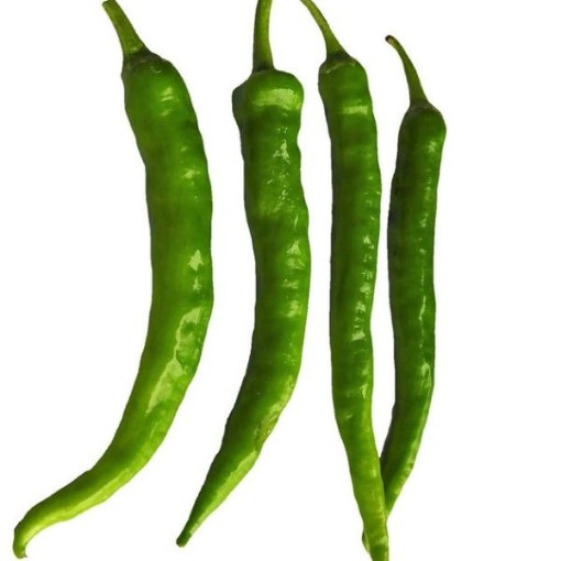 Fushimi Peppers SP265-20