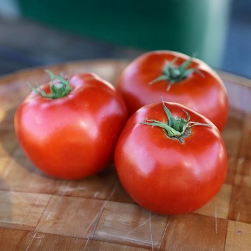 Mountain Fresh Plus Tomato Seeds
