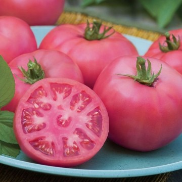 Big Pink Tomato Seeds