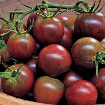 Black Pearl Tomato Seeds