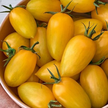 Bliss Tomato Seeds