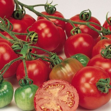 Bloody Butcher Tomato Seeds