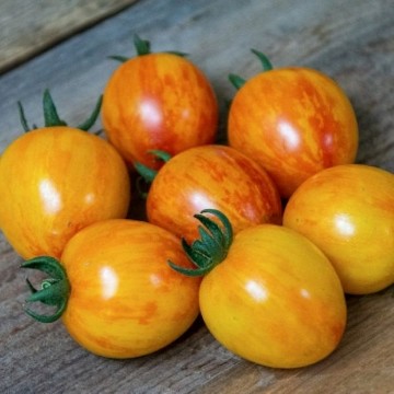 Sunrise Bumble Bee Tomato Seeds