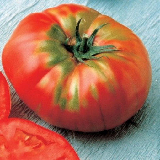 German Head Tomato TM532-10