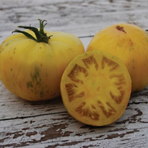 Pineapple Pig Tomato TM822-20