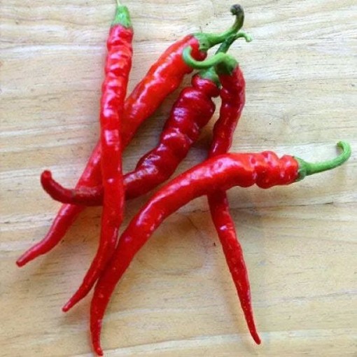 Cayenne Long Red Peppers HP1561-20