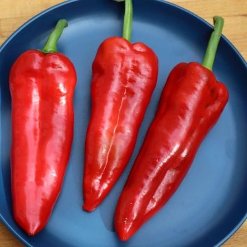 Lumbre Hatch XX Pepper Seeds