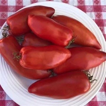 San Marzano Redorta Tomato Seeds
