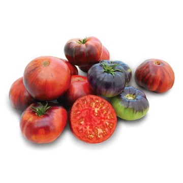 Indigo Blue Beauty Tomato Seeds